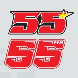 Hafizh syahrin 55